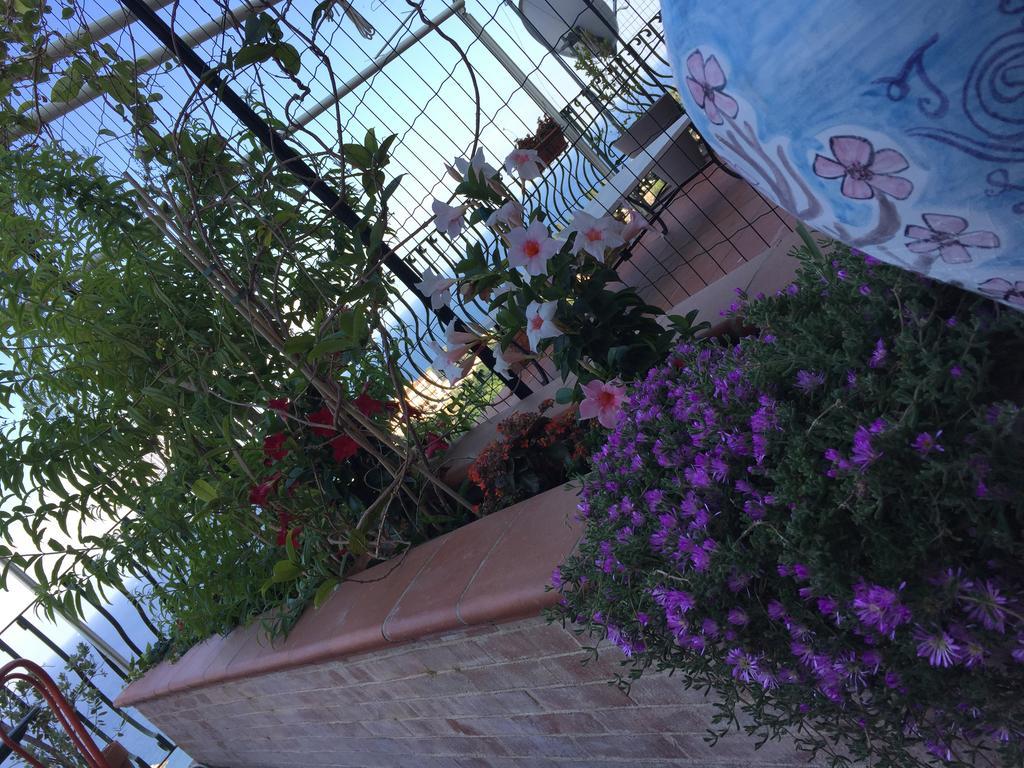 B&B La Terrazza Sul Mare Taormina Bagian luar foto